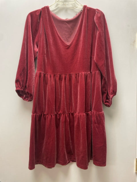 Size M Umgee Burgundy Velour Dress